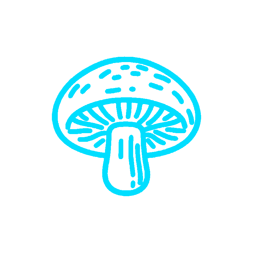 Logo 7